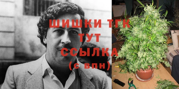 МДПВ Алзамай