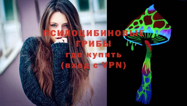 гидра Аркадак