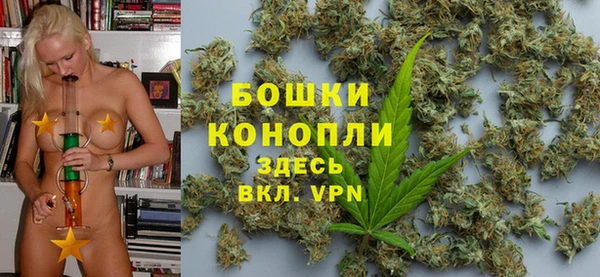 гидра Аркадак