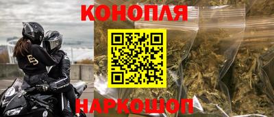 стафф Донской