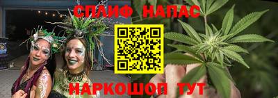 стафф Донской