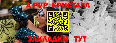стафф Донской