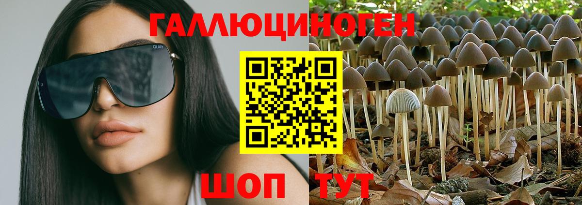 Галлюциногенные грибы прущие грибы Татарск